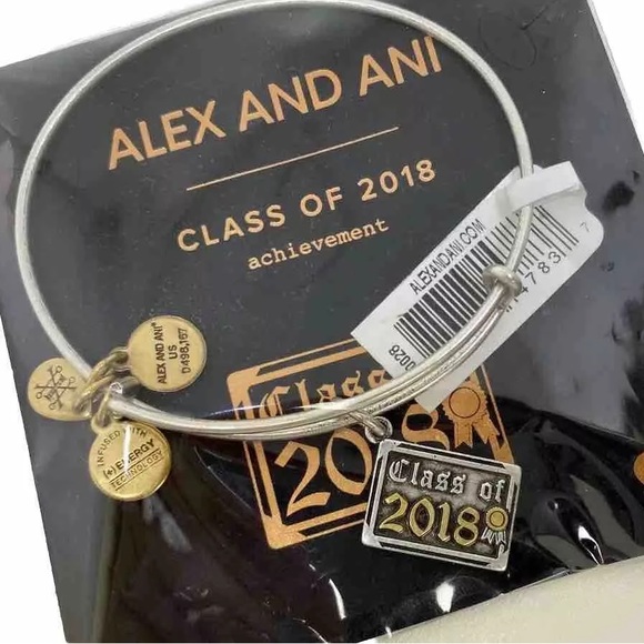 Alex and Ani Class of 2018 Two Tone EWB Rafaelian Silver Charm Bangle Bracelet - Picture 2 of 5